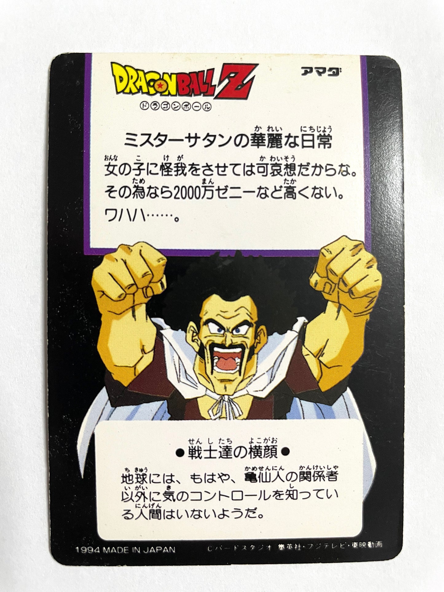 DragonBall_Hero Collection _No.231