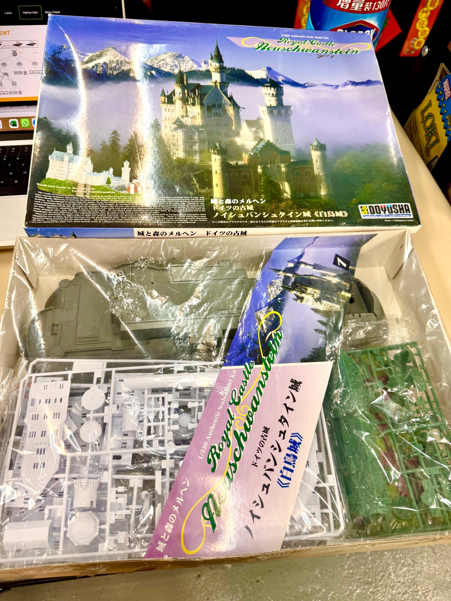 童友社 1/220 新天鵝堡