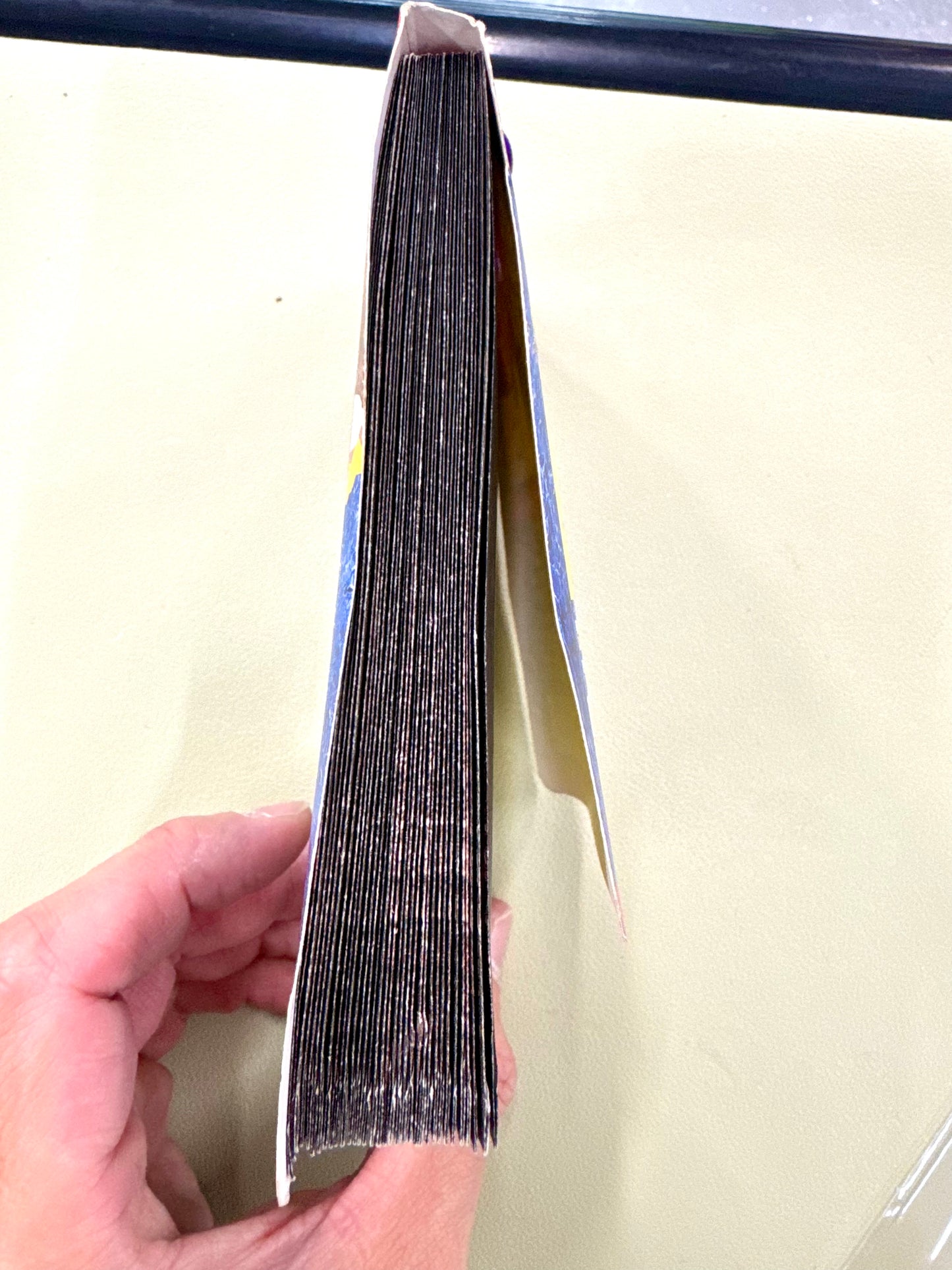 DragonBall GT Part I PP.Card 吊咭