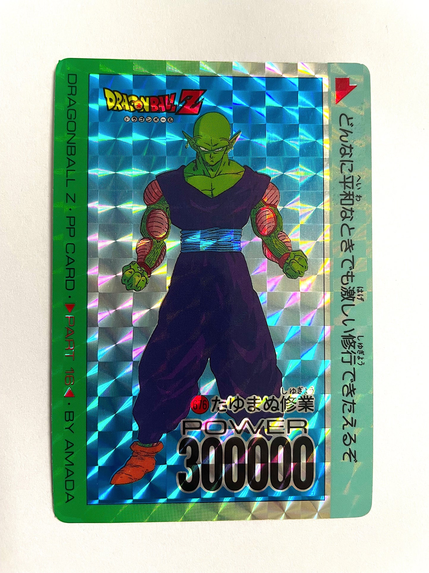 DragonBall_P.P Card_ Part 16_ No.676