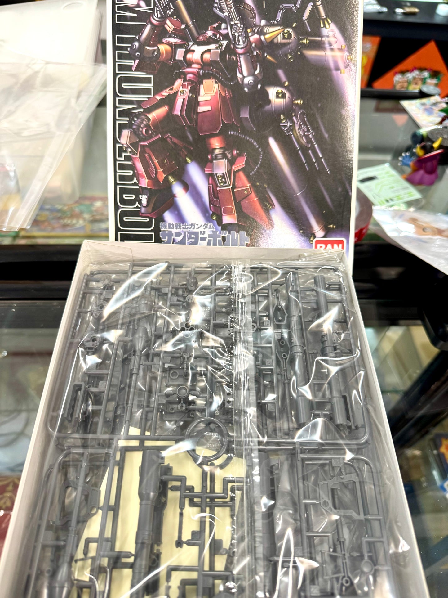 HG MS-06R ZAKUII (High Mobility Type "PSYCHD ZAKU")